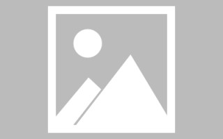 沈丘新郑企业网站建设搭建（郑州企业建站系统模板）